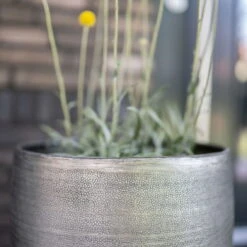 Pflanzgefäß 'Rowen', Silber, Ø 47 X H 82 Cm 17 Pflanzgefäß 'Rowen', Silber, Ø 47 X H 82 Cm -Naturgrün Verkaufsgeschäft 3210801635 3210801636 3210801637 3210801638 Pflanzgefaess Rowen silber 7 115026