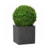 Pflanztrog IQ Dutch Spencer, Schwarz, L 25 X B 25 X H 25 Cm