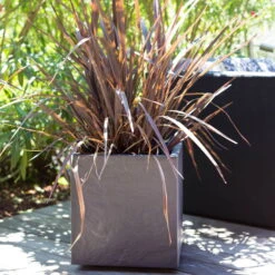 Pflanztrog 'Volcania Dado', Anthrazit, L 39,5 X B 39,5 X H 43,5 Cm -Naturgrün Verkaufsgeschäft 3230101084 Pflanztrog Volcania Dado anthrazit 39x39xH43cm 31Ltr6 75428