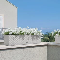 Lechuza 'Balconera Cottage 80', Schwarz, 79 X 19 X 19 Cm 5 Lechuza 'Balconera Cottage 80', Schwarz, 79 X 19 X 19 Cm -Naturgrün Verkaufsgeschäft 3230101165 Balconera Cottage 80 3 103364