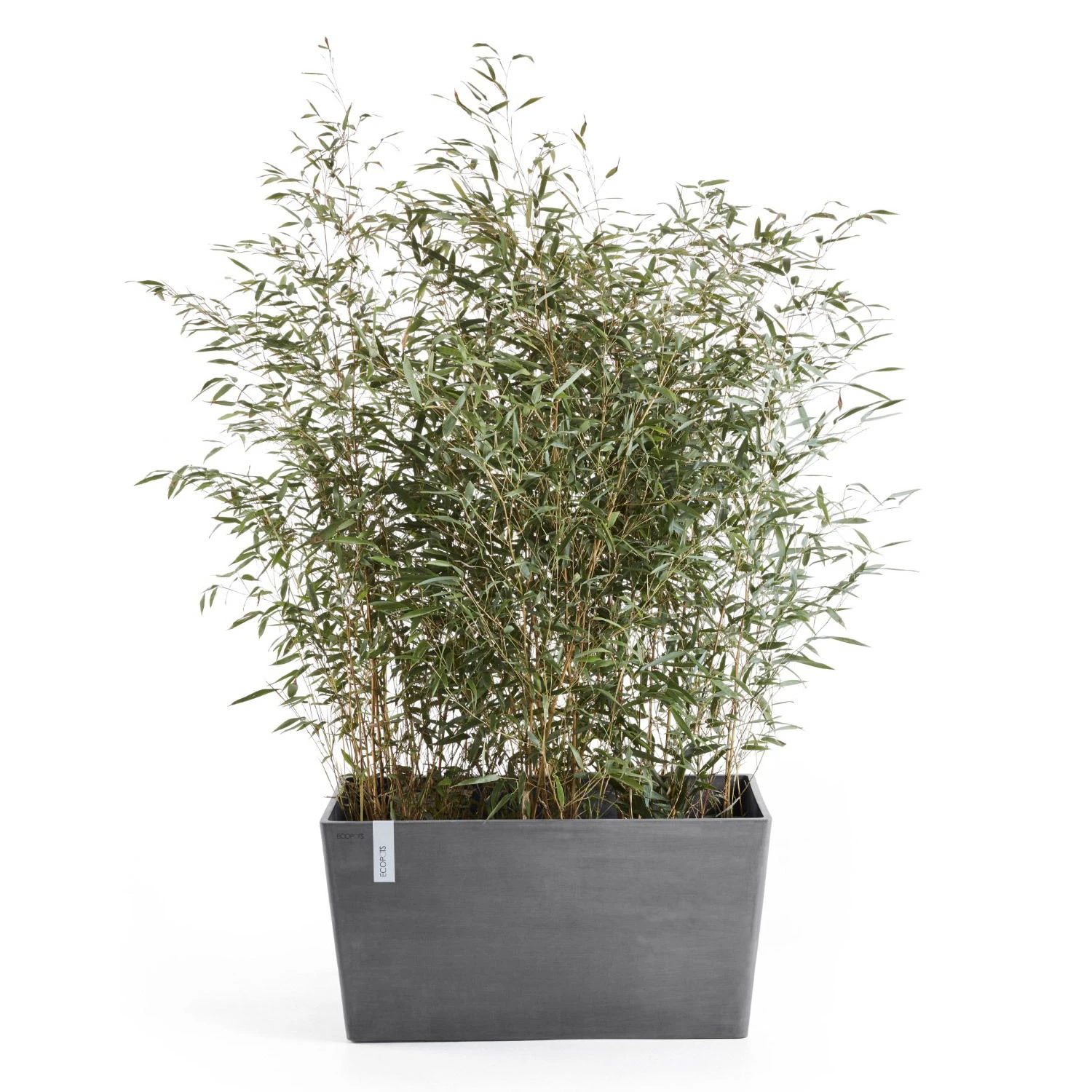 Pflanzkasten 'Paris', Grau 2 Pflanzkasten 'Paris', Grau – Bild 2