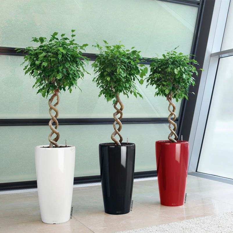 LECHUZA Rondo Premium 40, Weiß Hochglanz, All-in-One-Set, Ø 40 Cm, H:75 Cm 1 LECHUZA Rondo Premium 40, Weiß Hochglanz, All-in-One-Set, Ø 40 Cm, H:75 Cm