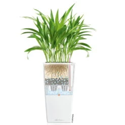 LECHUZA Cubico Premium 40, Weiß Hochglanz, All-in-One-Set, 40 X 40, H:75 Cm -Naturgrün Verkaufsgeschäft 3325100114 CubicoPremium22 weiss All in One Set 22x22x41cm RGB 7573