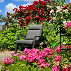 Kölle Sessel 'Australien', Alu, Polyester, Rücken Verstellbar 18 Kölle Sessel 'Australien', Alu, Polyester, Rücken Verstellbar -Naturgrün Verkaufsgeschäft 3910302460 113719