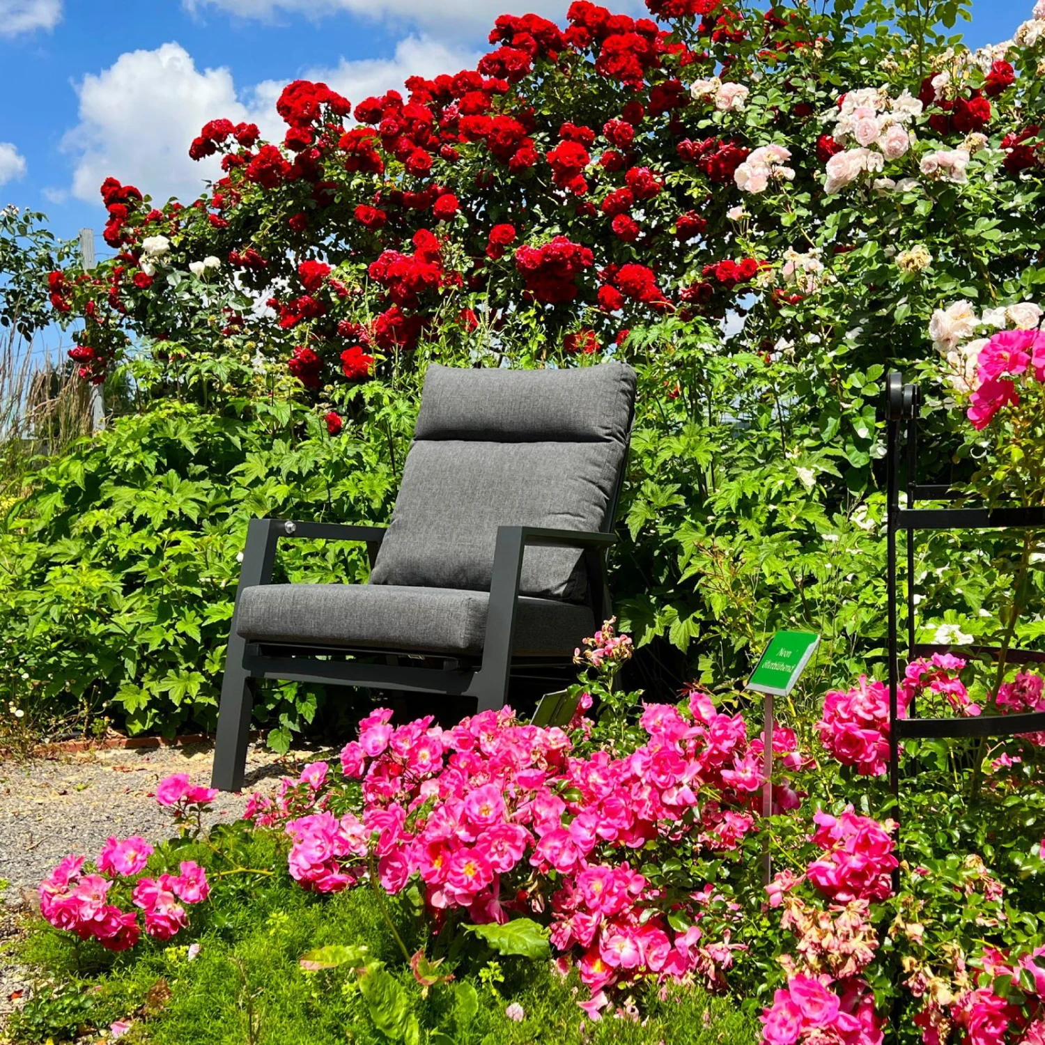 Kölle Sessel 'Australien', Alu, Polyester, Rücken Verstellbar 9 Kölle Sessel 'Australien', Alu, Polyester, Rücken Verstellbar – Bild 9