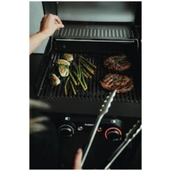 Elektrogrill 'eFlow PRO 2', Graphit Matt -Naturgrün Verkaufsgeschäft 3920300088 elektrogrill eflow pro 2 ambiente 2 1 121286