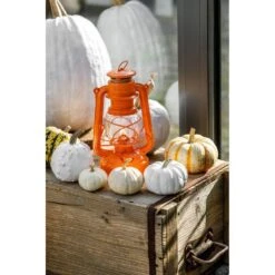 Feuerhand Sturmlaterne 'Baby Special 267', Orange, 26,5 X 13,5 X 15 Cm -Naturgrün Verkaufsgeschäft 3990100185 feuerhand sturmlaterne 4 121547