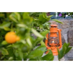 Feuerhand Sturmlaterne 'Baby Special 267', Orange, 26,5 X 13,5 X 15 Cm -Naturgrün Verkaufsgeschäft 3990100185 feuerhand sturmlaterne 6 121553
