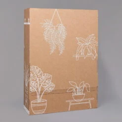 Aglaonema 'Stripes', Topf-Ø 12 Cm Mit Übertopf Dallas Weiß -Naturgrün Verkaufsgeschäft B2 02 Karton Sets mit Keramik 1 126161 1