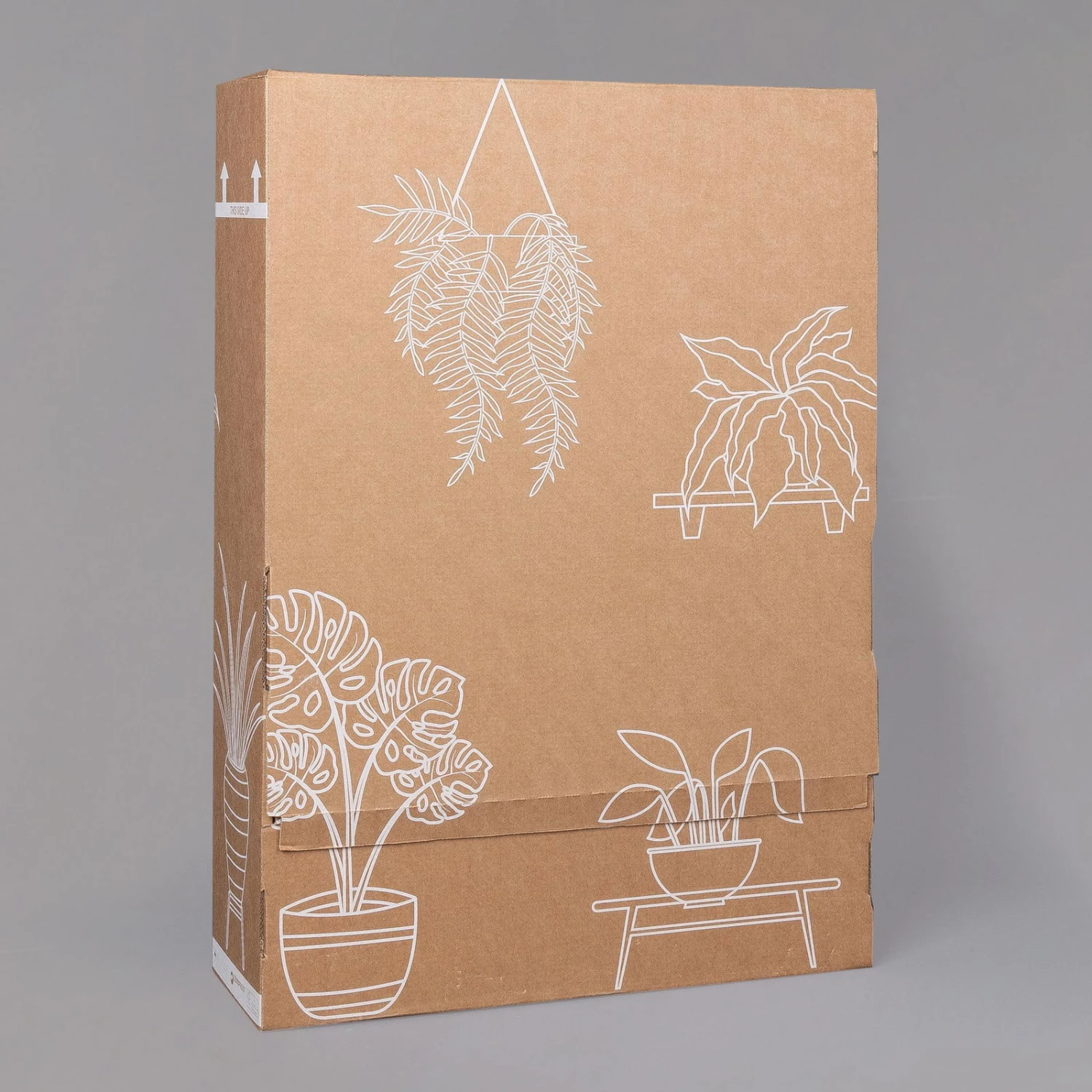 Rose, Rosa, Mit Topf Dallas Weiß, Topf-Ø 13 Cm, 3er-Set 5 Rose, Rosa, Mit Topf Dallas Weiß, Topf-Ø 13 Cm, 3er-Set – Bild 5