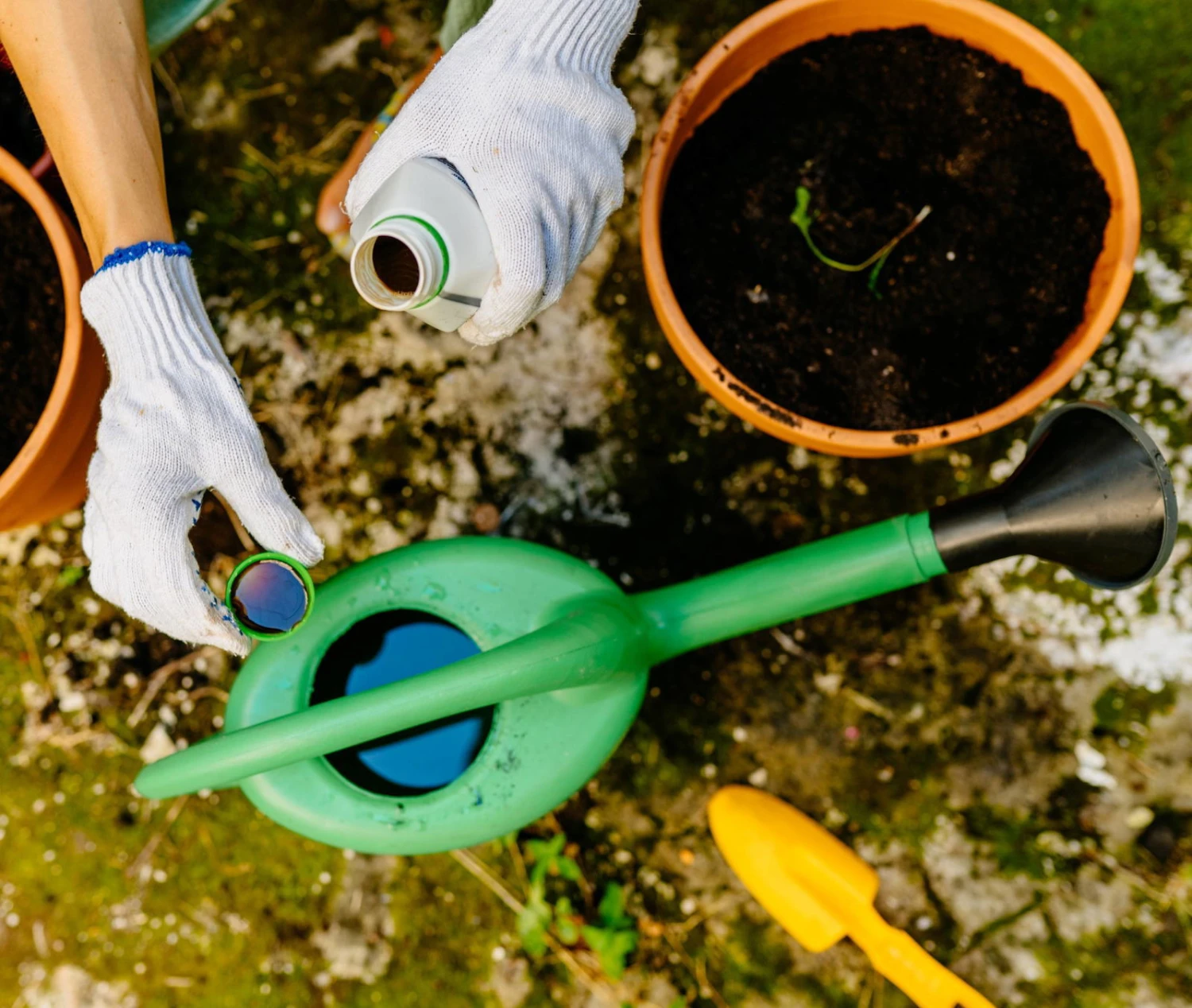 Neudorff Ferramin Eisendünger, 250 Ml 2 Neudorff Ferramin Eisendünger, 250 Ml – Bild 2